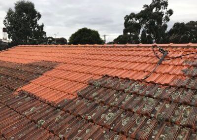 Terracottacleaning